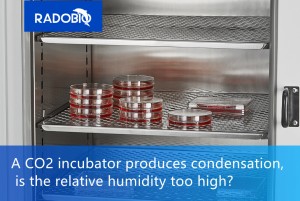 A CO2 incubator produces condensation, is the relative humidity too high?